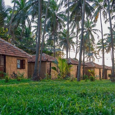 Sunway Cottages Mandrem Extérieur photo