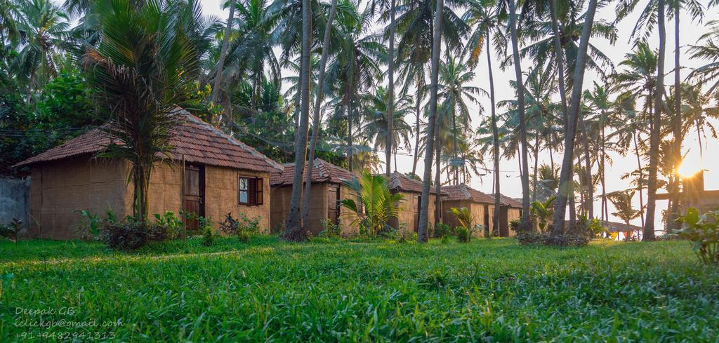 Sunway Cottages Mandrem Extérieur photo